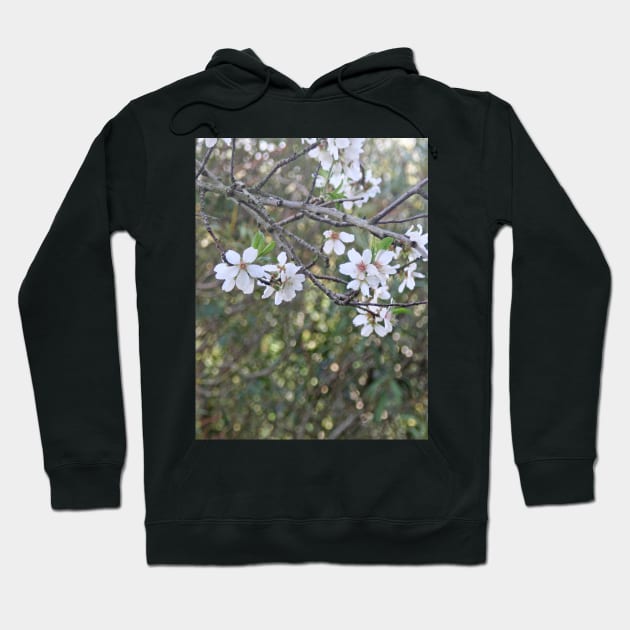 Almond tree branches and flowers Hoodie by oknoki